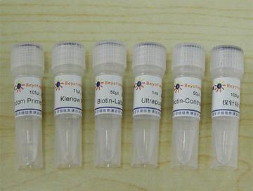 生物素随机引物DNA标记试剂盒